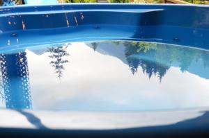 a reflection of a tree in a blue bin at Wild Rose in Borşa