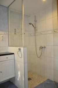 baño con ducha y puerta de cristal en Hof Tummetott, en Mittelangeln