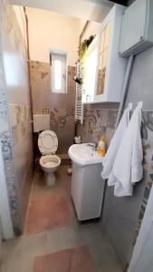 a bathroom with a white toilet and a sink at Apartment Eleco in Bjelovar