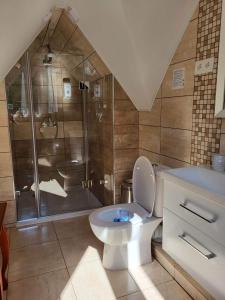 a bathroom with a toilet and a shower at Vila Florena in Palanga