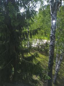 a view of a park with trees and grass at Helsinki Blue House in Helsinki
