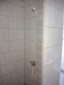 a shower with a shower head in a bathroom at Helsinki Blue House in Helsinki