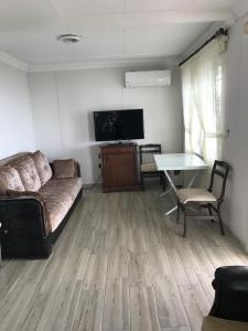 TV a/nebo společenská místnost v ubytování SEYRİ DENİZ VİLLA Villa with sea view