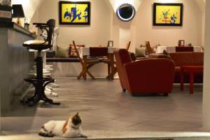Majutusasutuse Su Hotel - Bodrum külastajatega peatuv lemmikloom või lemmikloomad