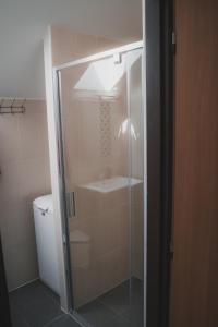 a shower with a glass door next to a toilet at Chata - Sklep 57 in Starovice