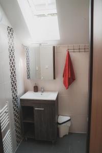 a bathroom with a sink and a mirror and a toilet at Chata - Sklep 57 in Starovice