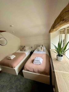 dwa łóżka w małej sypialni z doniczką w obiekcie Hollins Cottage. Central location, Marple Bridge w mieście Marple
