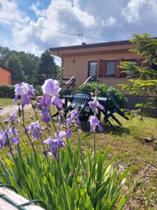 Valgiano的住宿－Chalet Grazia，一座花园,在房子前面种有紫色的花朵