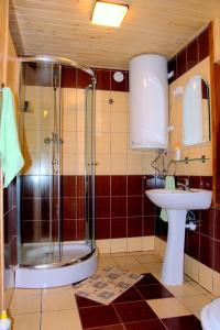 a bathroom with a shower and a sink at Ośrodek Wypoczynek Wodnik in Ruciane-Nida