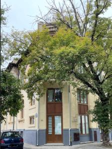 un edificio con un albero di fronte di Lovely Studio in center of Bucharest a Bucarest