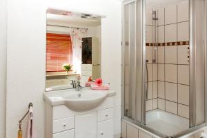 ein Bad mit einem Waschbecken und einer Dusche in der Unterkunft Ferienwohnung am Sachsenring 