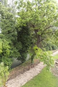 une clôture à côté d'une rivière avec un arbre dans l'établissement MulinoNera, à Montefranco