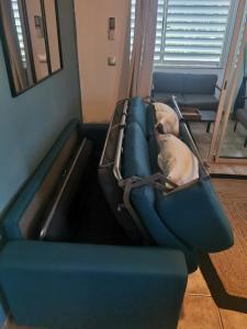 a dog laying on a slide in a room at La bulle bleue - Coeur de St Gilles les bains in Filaos