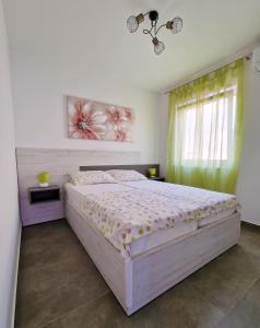 Gallery image of Villa Poseidon in Novalja +115 photos
