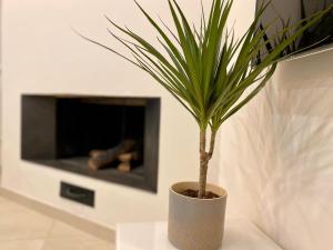 A television and/or entertainment centre at Le Suite con terrazzo Abitare Roma