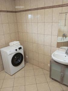 a washing machine in a bathroom next to a sink at Apartament w Podgórzynie in Podgórzyn