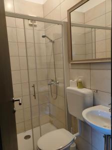 a bathroom with a shower and a toilet and a sink at Rooms and Apartment Na poljani in Škofja Loka