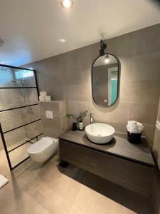 W łazience znajduje się umywalka, toaleta i lustro. w obiekcie Bed & Breakfast Zeeuws Gelukkig w mieście Serooskerke