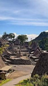 a village with huts and buildings with a mountain at Arnolds Familly homestay in Bajawa