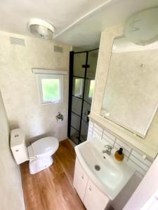 a bathroom with a toilet and a sink and a mirror at Domek z widokiem na las in Nielisz