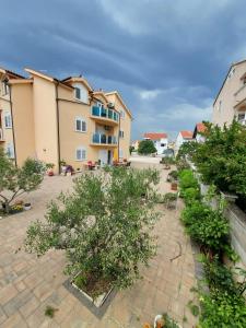 a courtyard of a apartment building with a tree at Vila Meri in Vodice