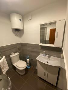a bathroom with a toilet and a sink at Vila Meri in Vodice