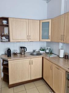 kuchnia z drewnianymi szafkami i zlewem w obiekcie Apartament na Żeromskiego w mieście Gdynia