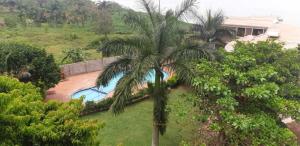 a palm tree in a yard with a swimming pool at Sky Beach Hotel in Wakiso