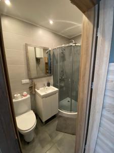 a bathroom with a toilet and a shower and a sink at Dwa pokoje w centrum - darmowy parking in Świnoujście