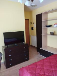 um quarto com uma cama, uma televisão e uma cómoda em Parco Madonnetta em Acilia