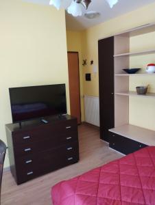 a bedroom with a bed and a tv and a dresser at Parco Madonnetta in Acilia