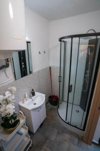 een badkamer met een douche en een wastafel bij Le Studio Baltard in Charleroi