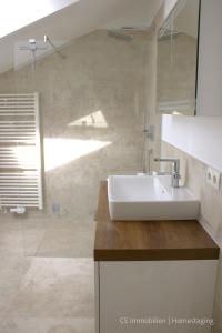 La salle de bains est pourvue d'un lavabo blanc et d'une douche. dans l'établissement Designerloft See, à Immenstaad am Bodensee