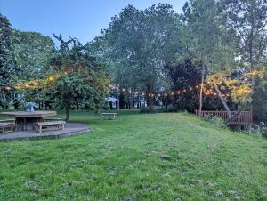 un parc avec une table de pique-nique et une chaîne de lumières dans l'établissement The Old Forge, à Bishop Wilton