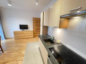 Кухня или мини-кухня в Apartament Park Zakrzowek
 +9 фотографий