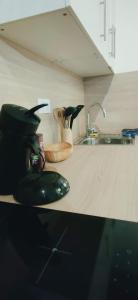 a kitchen counter with a mortar and pestle next to a sink at Le Cocon de Sisteron in Sisteron