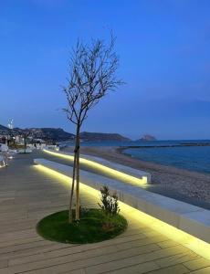 a tree in the middle of a sidewalk with lights at Casa Violeta in Altea