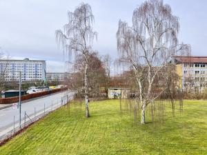 due alberi in un campo vicino a una strada di One Bedroom Apartment In Rdovre, Trnvej 29b, a Rødovre