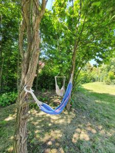 a hammock hanging from a tree in a yard at Domek na Polanie in Ustroń