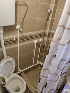 Koupelna v ubytování D&M Apartman Dojkinci