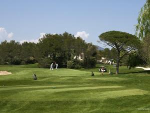 Golf pri apartmáne alebo okolí