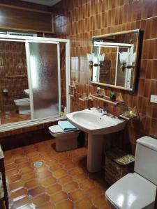 y baño con lavabo, ducha y aseo. en A CASA DOS AVÓS, en Celanova