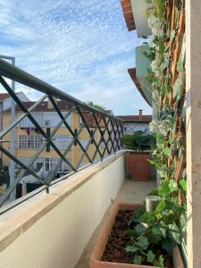 - un balcon avec des plantes en pot dans un bâtiment dans l'établissement Lisbon, renovated T2 apartment Portas de Benfica, à Amadora