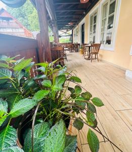 Zahrada ubytování Rooms Murka + 15 fotografií