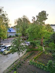 einen Garten mit Bäumen und Autos auf einem Parkplatz in der Unterkunft Трьохкімнатна квартира неподалік центру in Ternopil