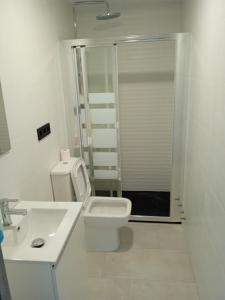 y baño con aseo, lavabo y ducha. en Casa San Miguel 93 santander, en Santander
