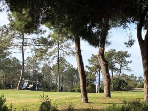 a golf course with trees and a golf cart at Playa Antilla Golf in Lepe