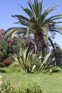 Gallery image of Villa Irini in Almirida +23 photos