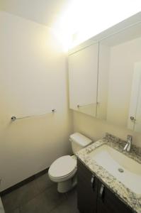 紐約的住宿－2 BR 1.5t Bath in Midtown West，一间带卫生间、水槽和镜子的浴室