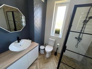 a bathroom with a sink and a mirror and a toilet at Parus100 in Lviv